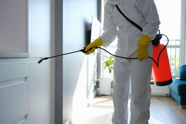 Mold Removal and Inspection in Delshire, OH